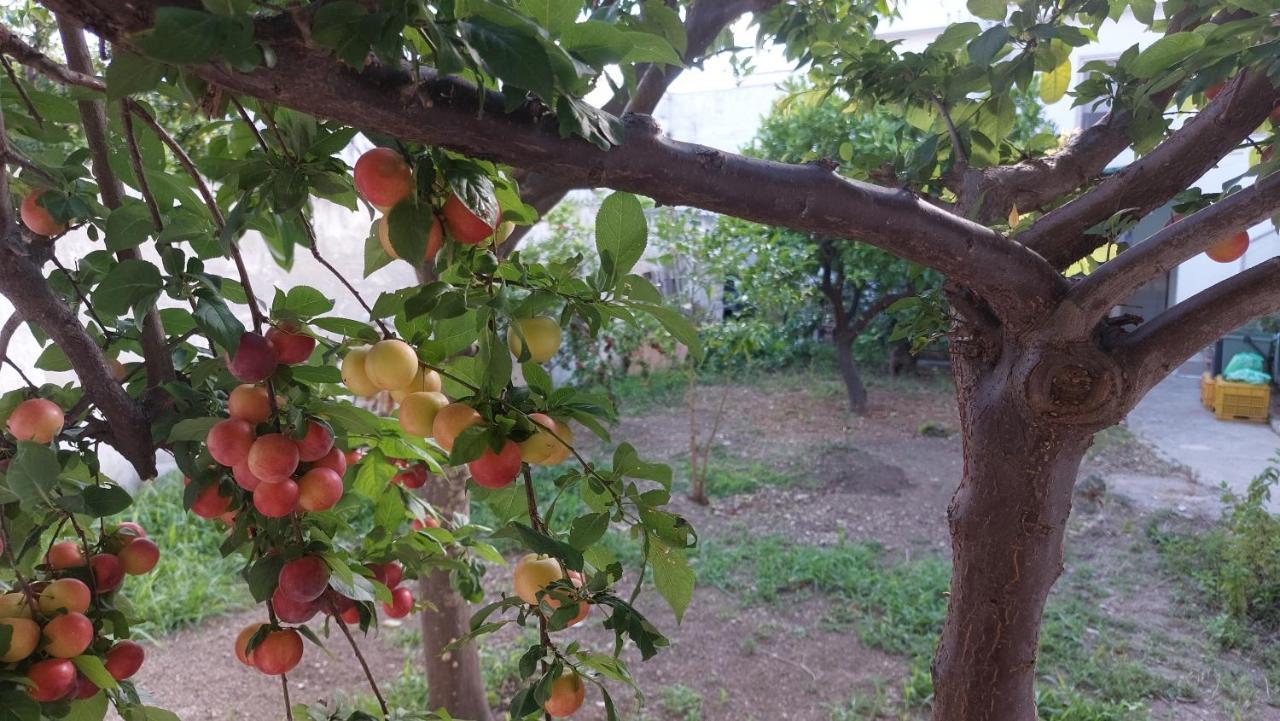 Jonia Appartamento Vacanze Vicino Al Mare Con Giardino Pulsano Exteriör bild