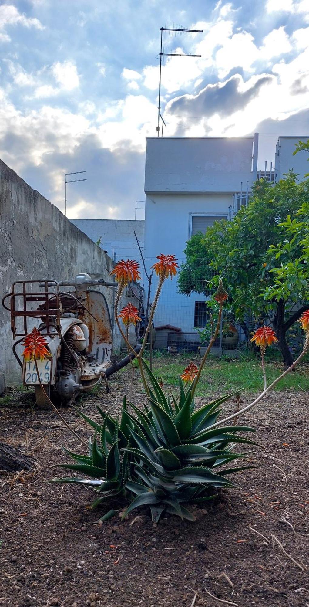Jonia Appartamento Vacanze Vicino Al Mare Con Giardino Pulsano Exteriör bild
